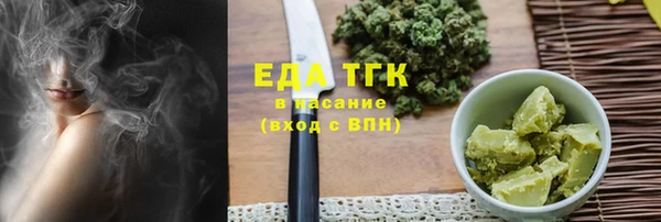 гидра Вяземский