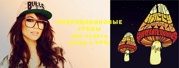 ПСИЛОЦИБИНОВЫЕ ГРИБЫ Вязьма