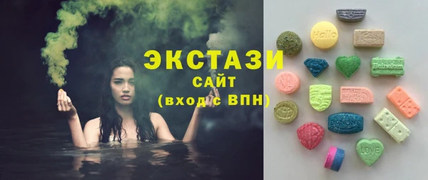 гидра Вяземский
