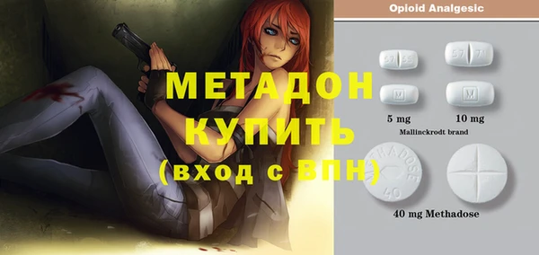 гидра Вяземский