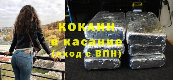 гидра Вяземский