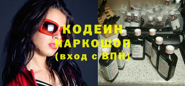 гидра Вяземский