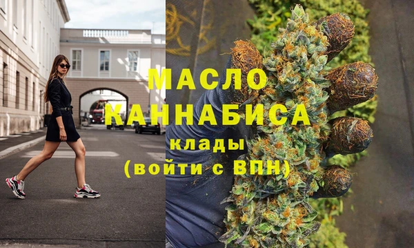 гидра Вяземский