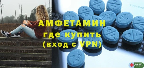 ПСИЛОЦИБИНОВЫЕ ГРИБЫ Вязьма