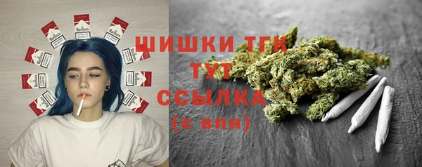 гидра Вяземский