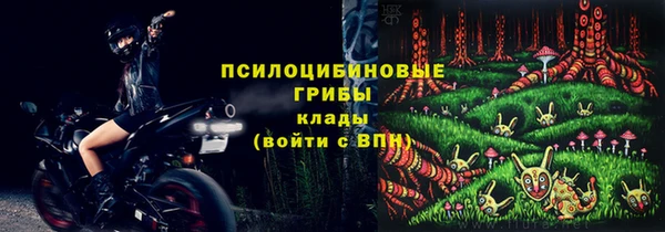 ПСИЛОЦИБИНОВЫЕ ГРИБЫ Вязьма