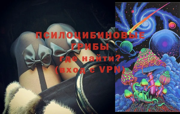 гидра Вяземский