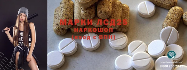 ПСИЛОЦИБИНОВЫЕ ГРИБЫ Вязьма