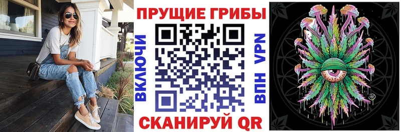 Купить  Озёрск  Псилоцибиновые грибы GOLDEN TEACHER 